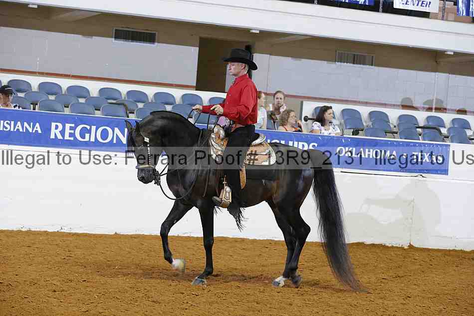 Proof 13r9_2131