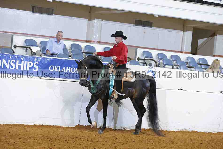 Proof 13r9_2142