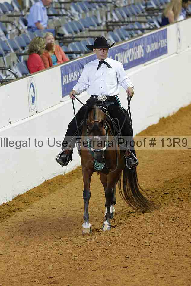 Proof 13r9_2153