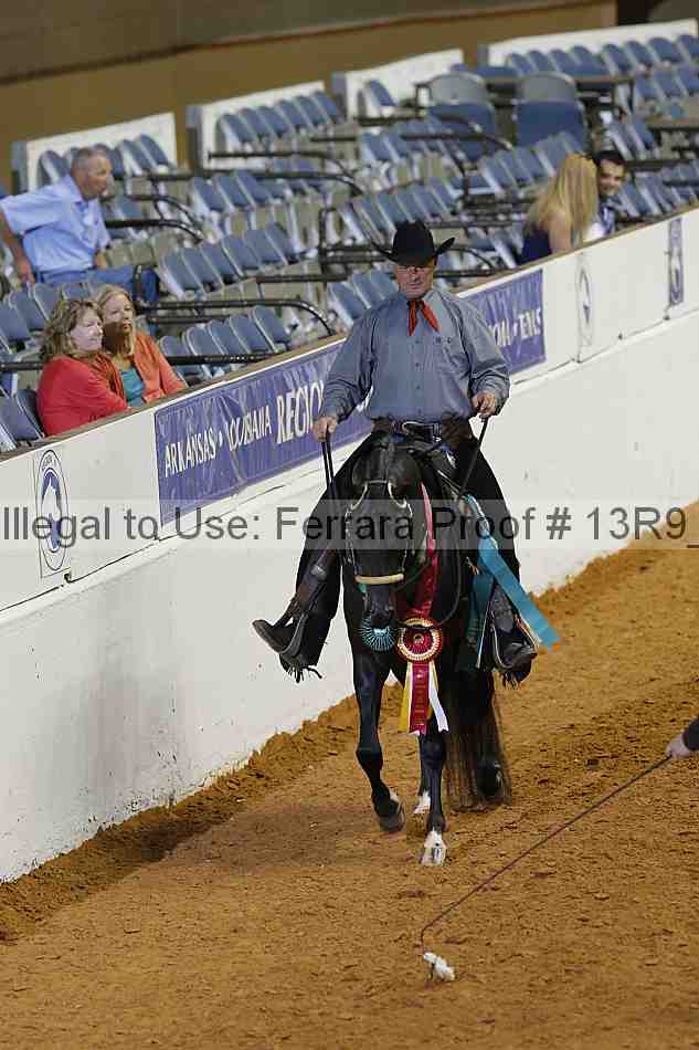 Proof 13r9_2156