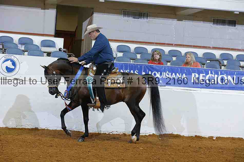 Proof 13r9_2160