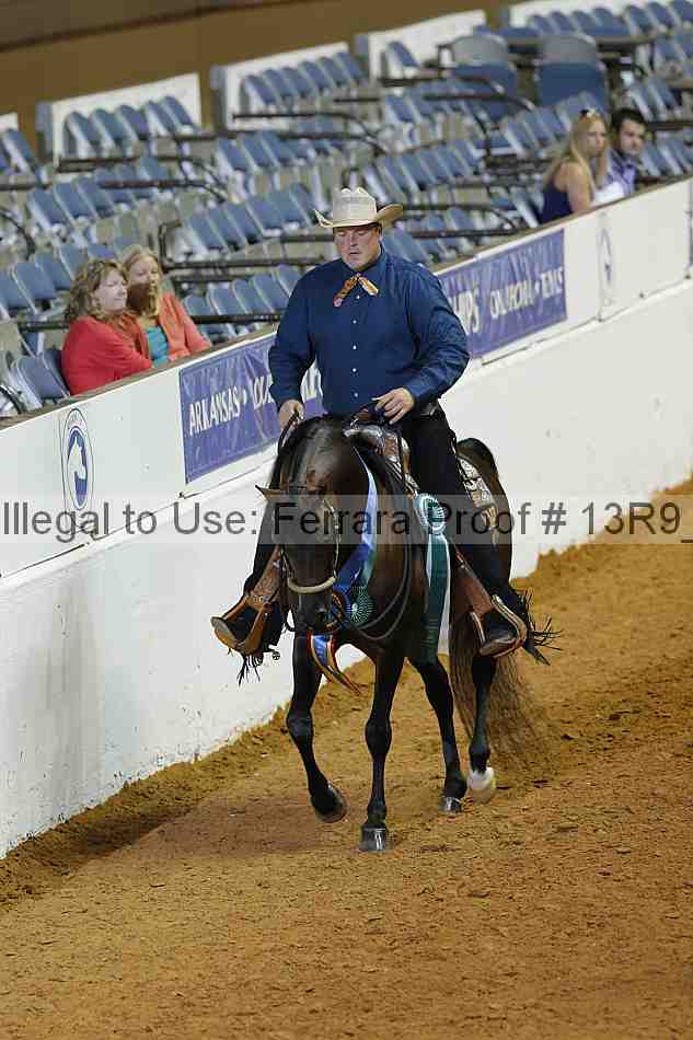 Proof 13r9_2161