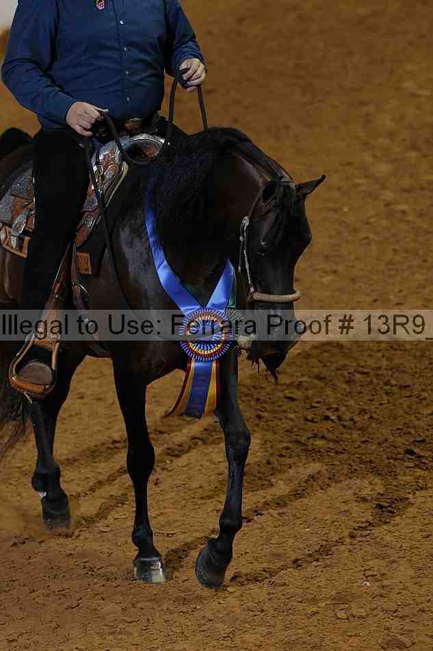 Proof 13r9_2162