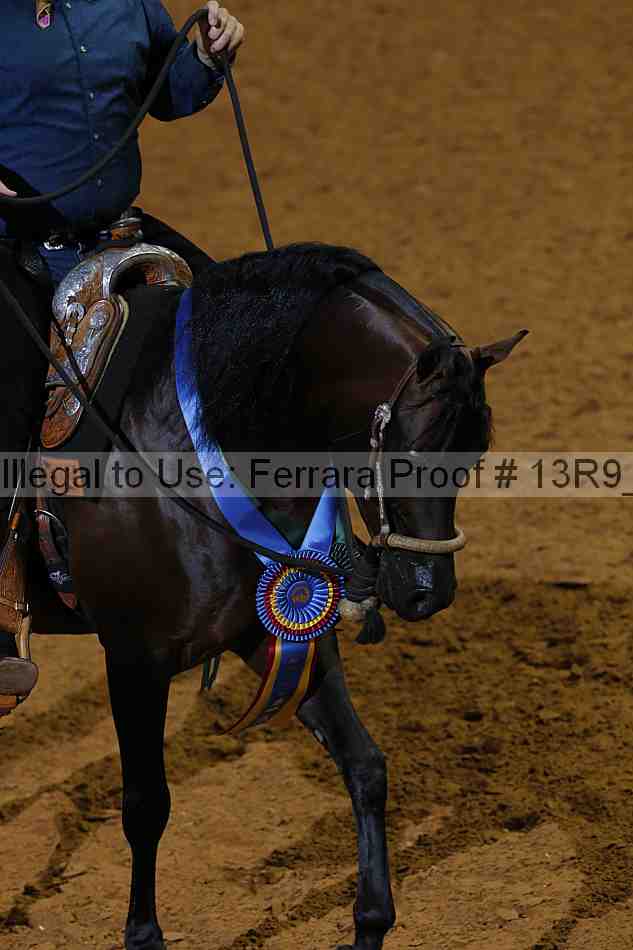 Proof 13r9_2163