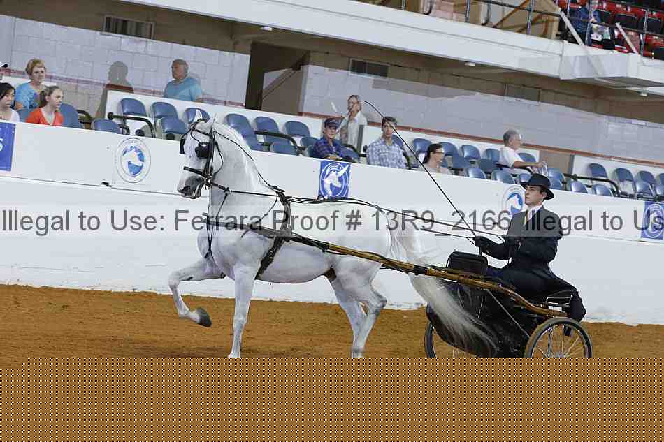 Proof 13r9_2166