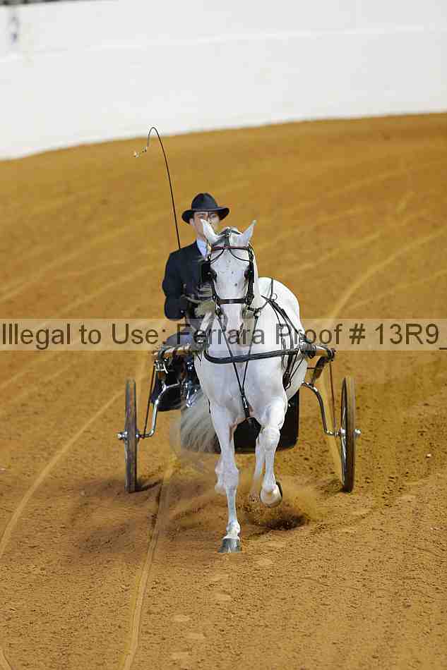 Proof 13r9_2168