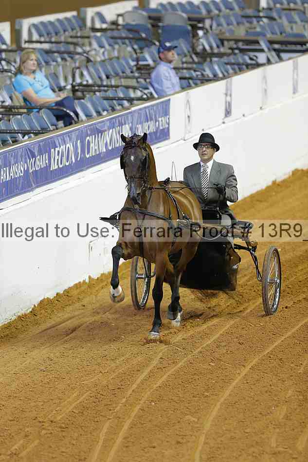 Proof 13r9_2169