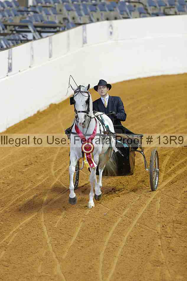 Proof 13r9_2172