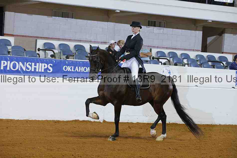 Proof 13r9_2181