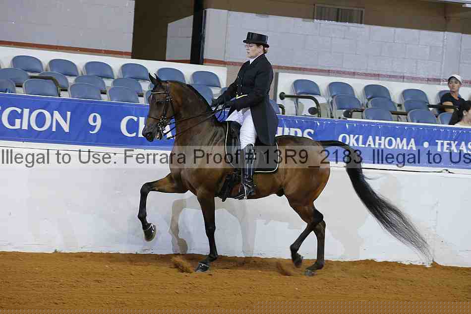 Proof 13r9_2183