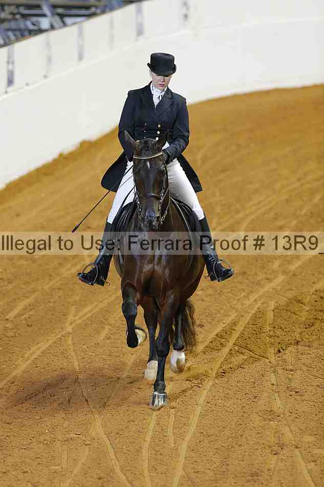 Proof 13r9_2186