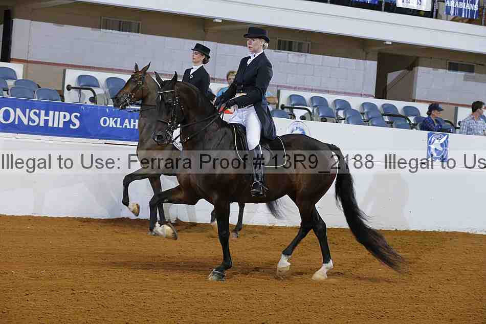 Proof 13r9_2188