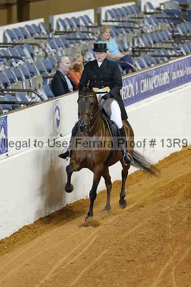 Proof 13r9_2189