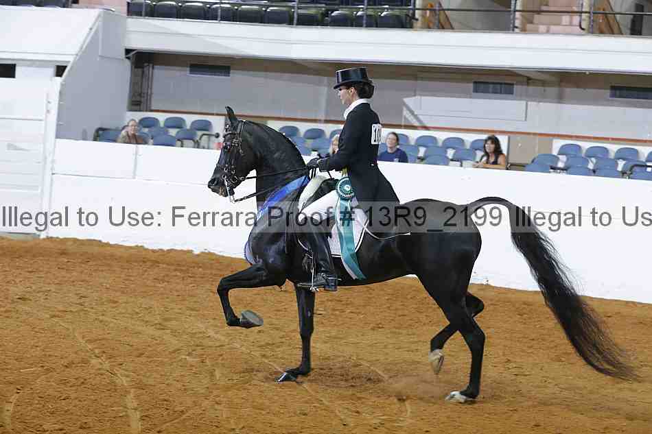 Proof 13r9_2199