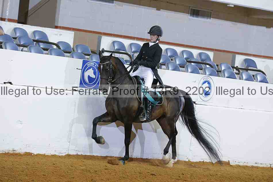 Proof 13r9_2202