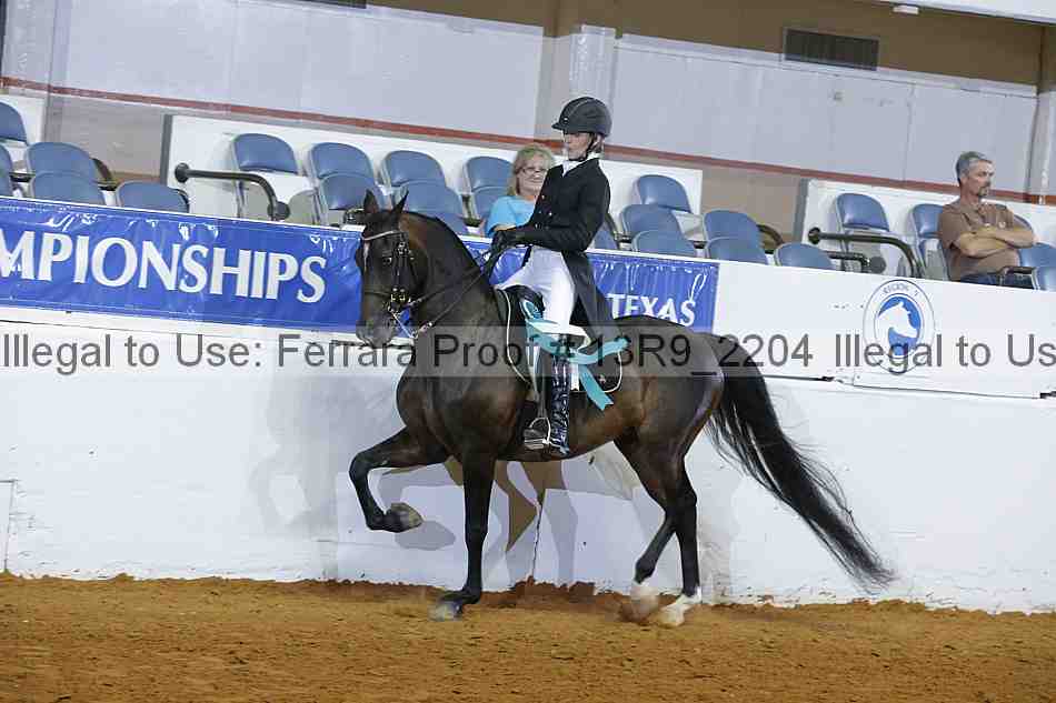 Proof 13r9_2204