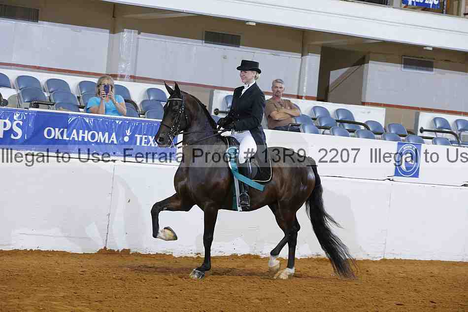 Proof 13r9_2207