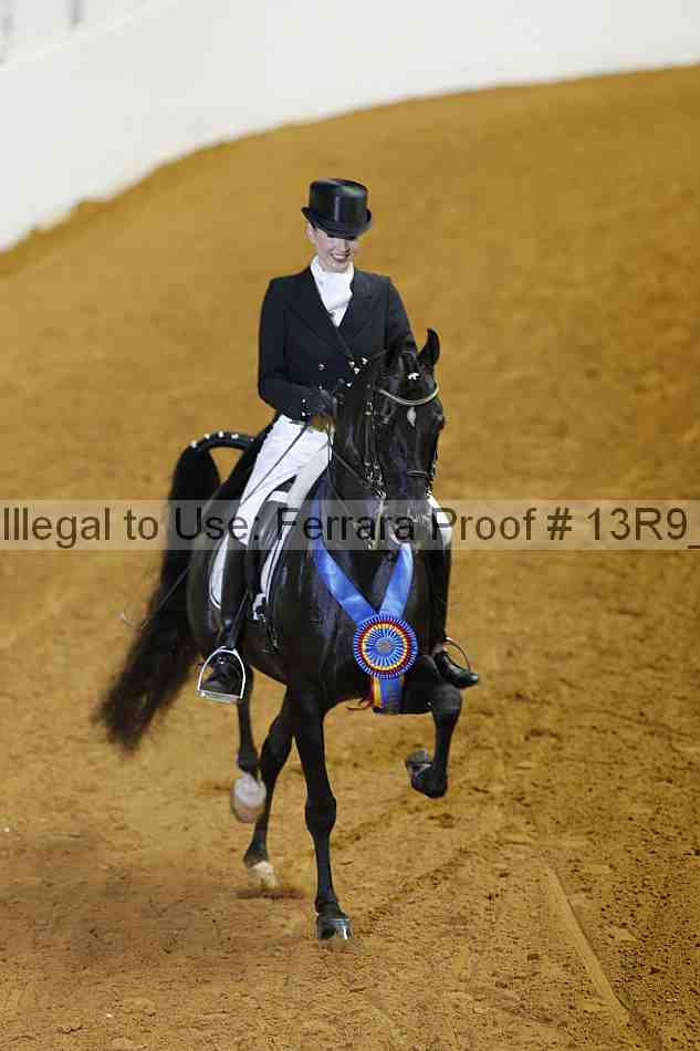 Proof 13r9_2217