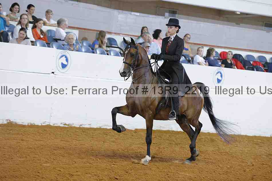 Proof 13r9_2219