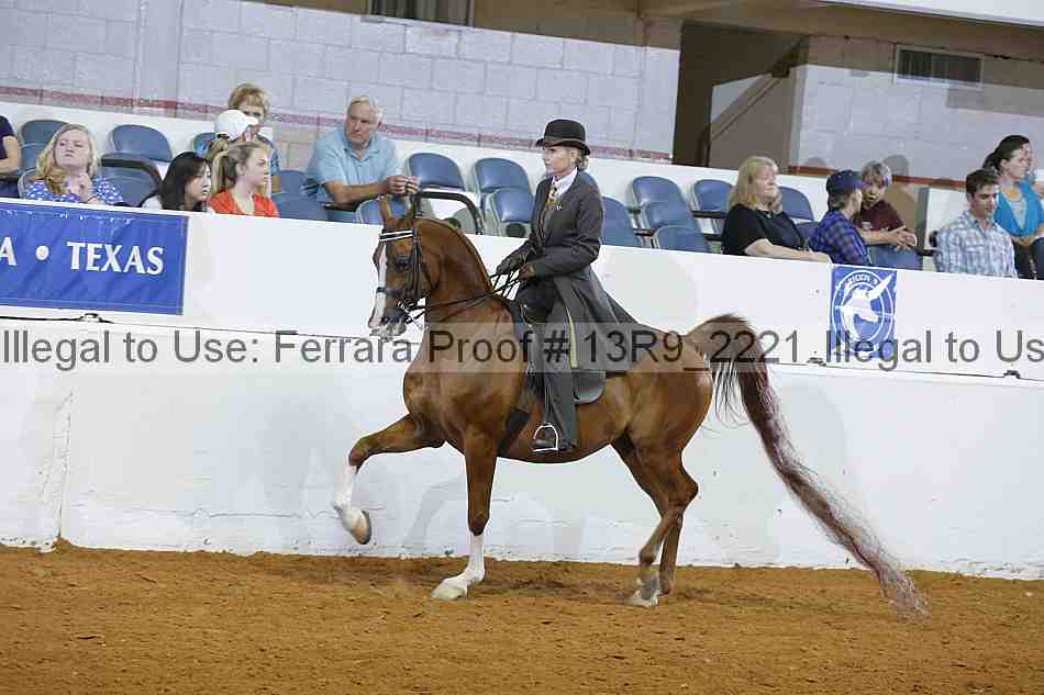 Proof 13r9_2221