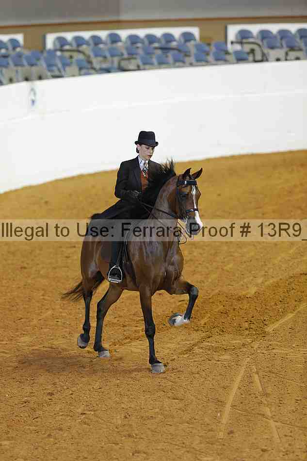 Proof 13r9_2224