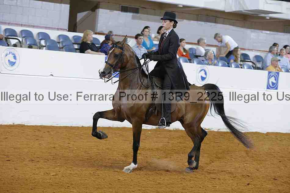 Proof 13r9_2225