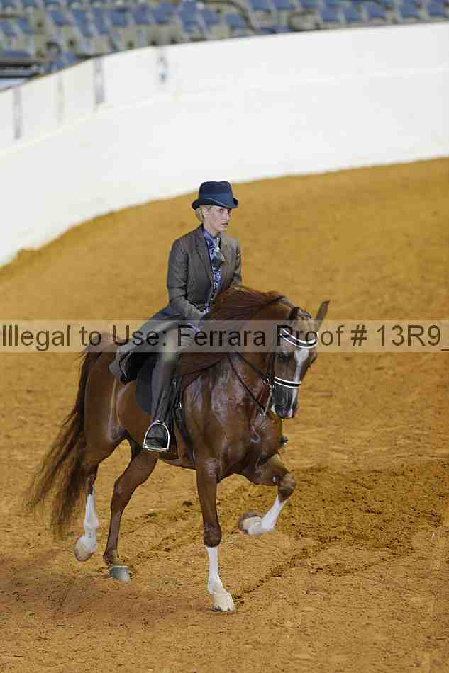 Proof 13r9_2227