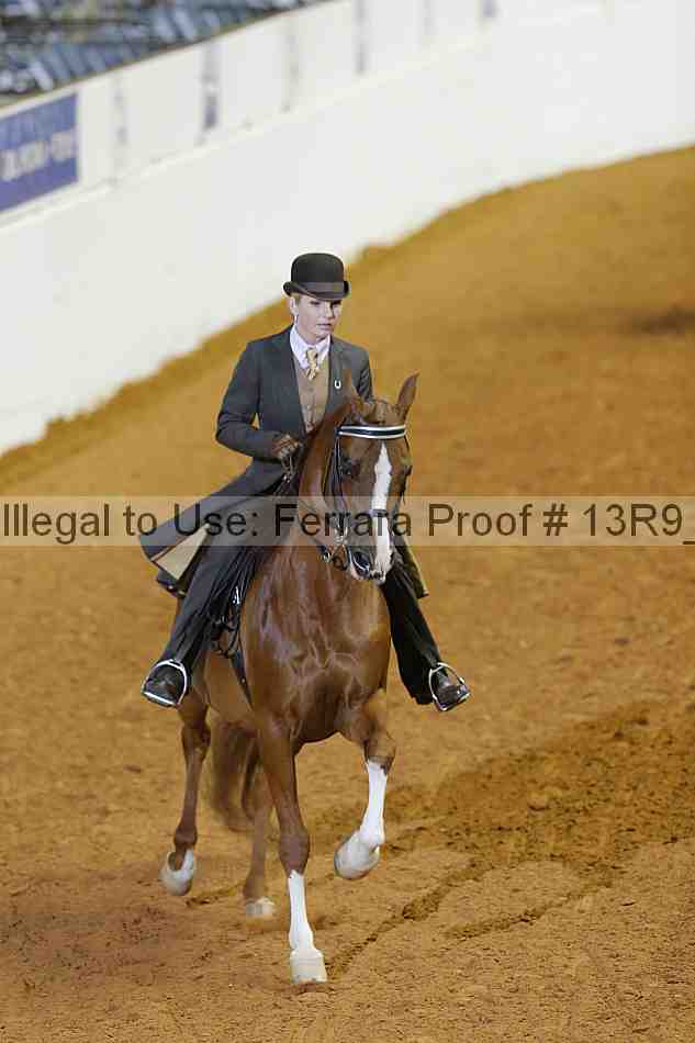 Proof 13r9_2233