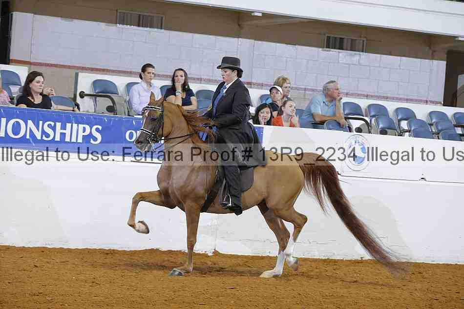 Proof 13r9_2234