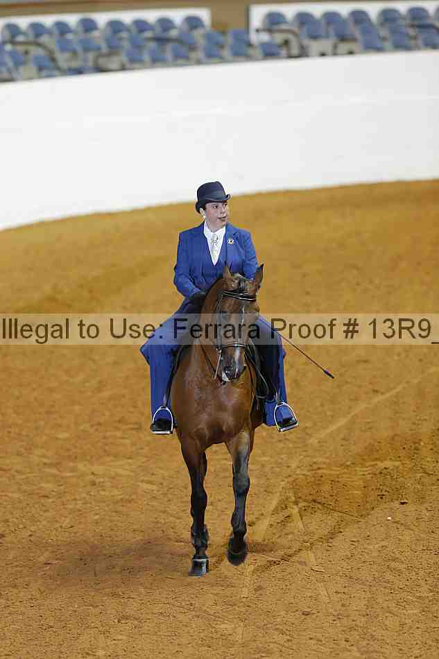 Proof 13r9_2236