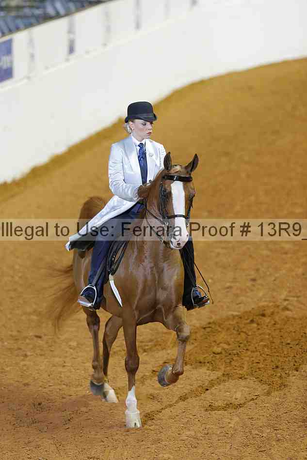 Proof 13r9_2238