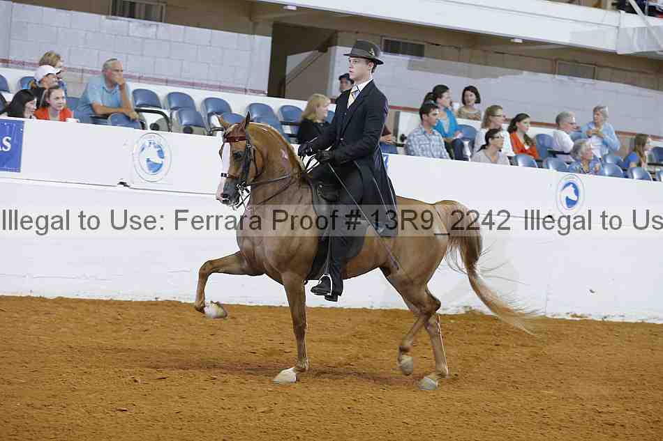 Proof 13r9_2242