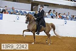 13r9_2242 proof