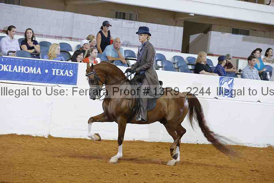 Proof 13r9_2244