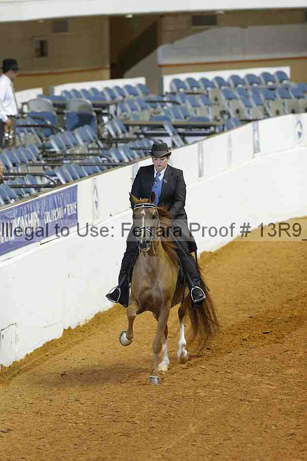 Proof 13r9_2246