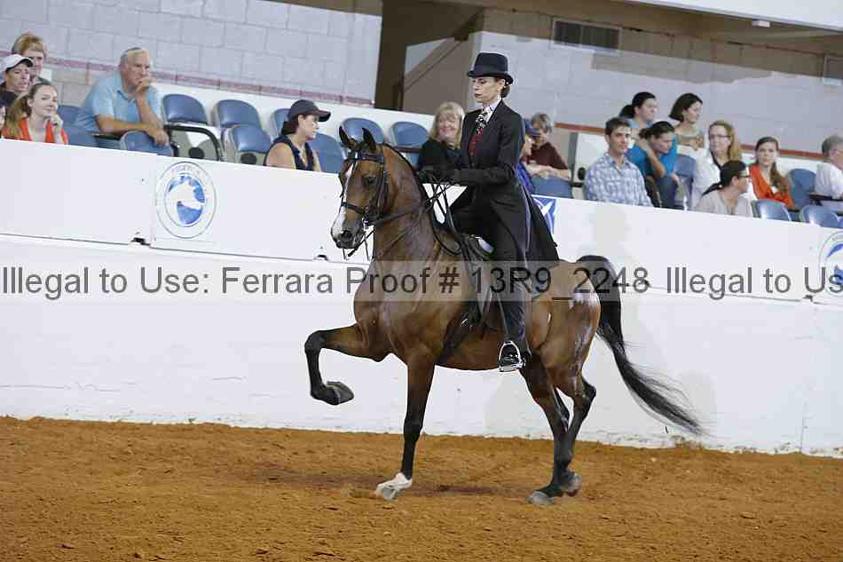 Proof 13r9_2248