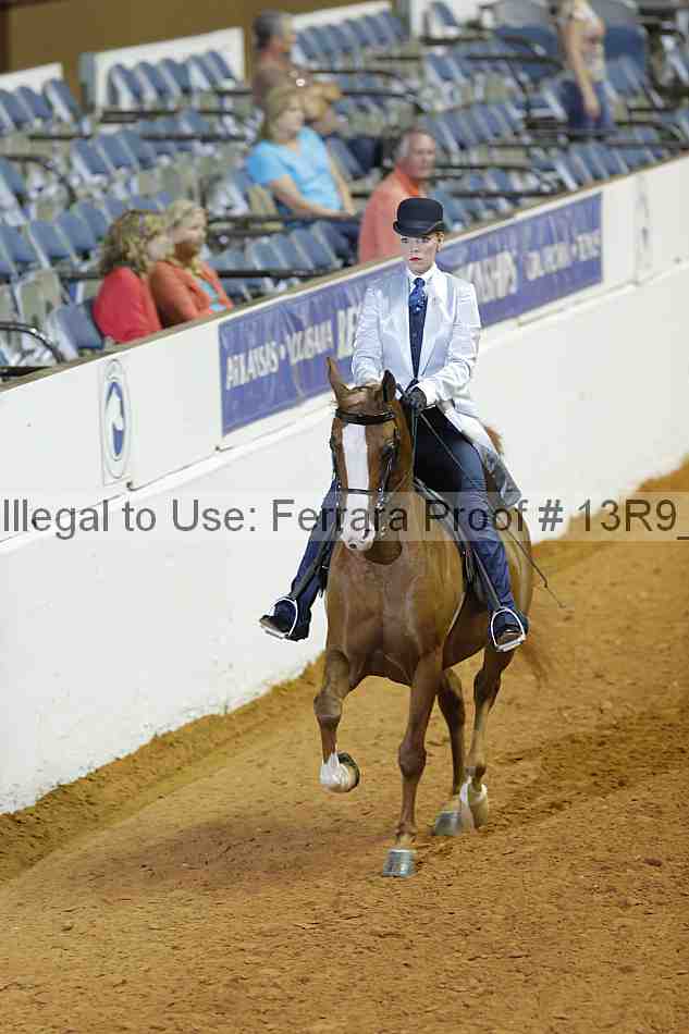 Proof 13r9_2249