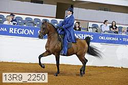 13r9_2250 proof