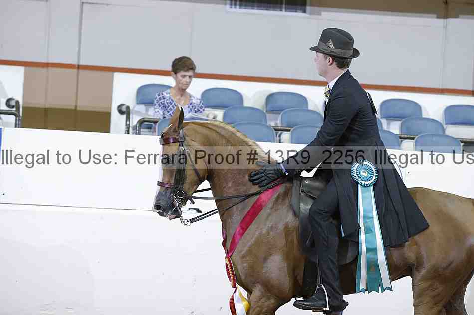 Proof 13r9_2256