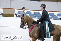 13r9_2256 proof