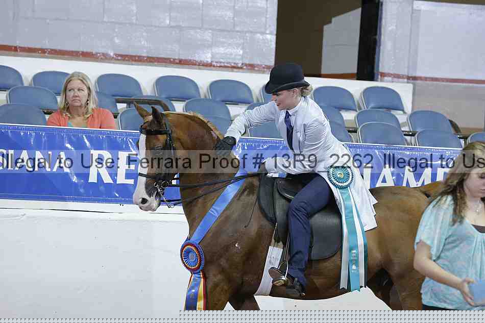 Proof 13r9_2262