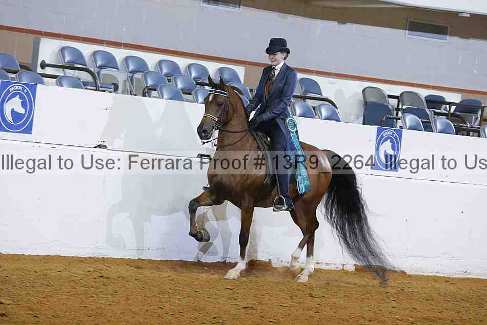 Proof 13r9_2264