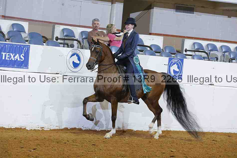 Proof 13r9_2265