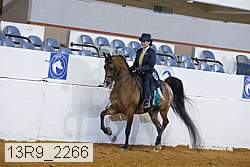 13r9_2266 proof
