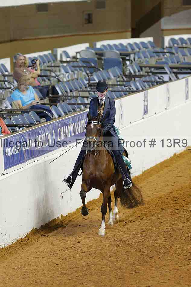 Proof 13r9_2269