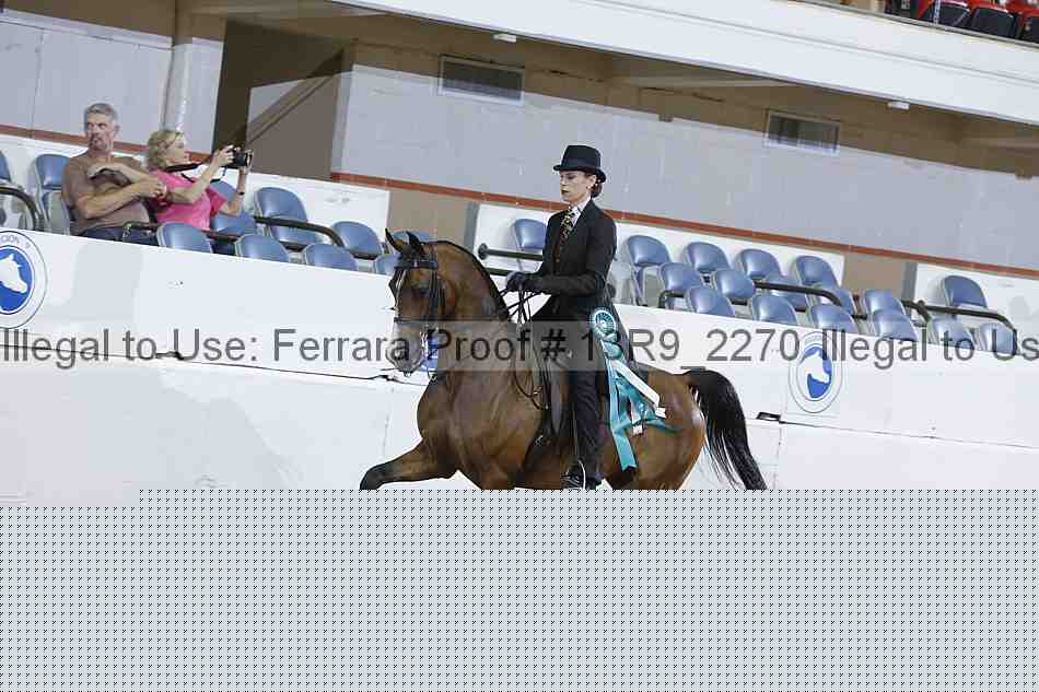Proof 13r9_2270
