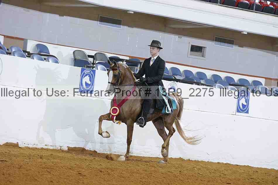 Proof 13r9_2275