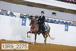 13r9_2275 proof