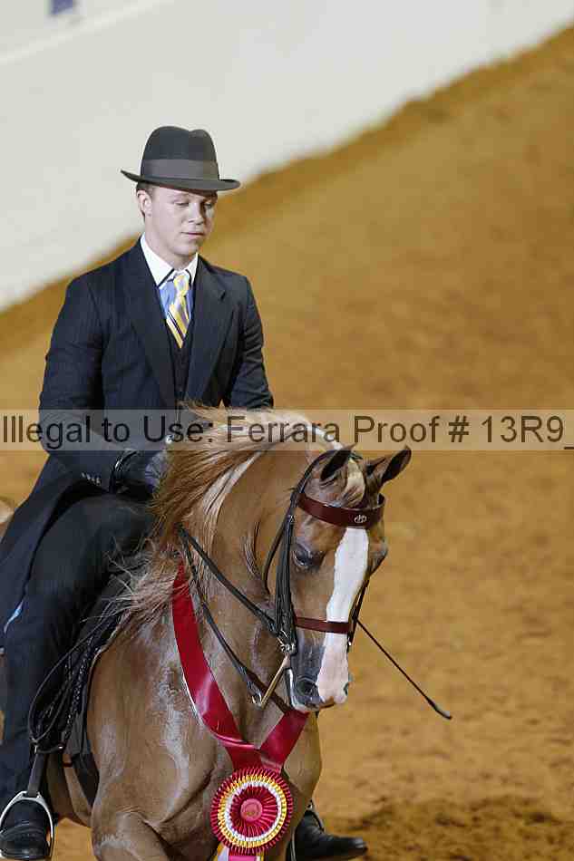 Proof 13r9_2281