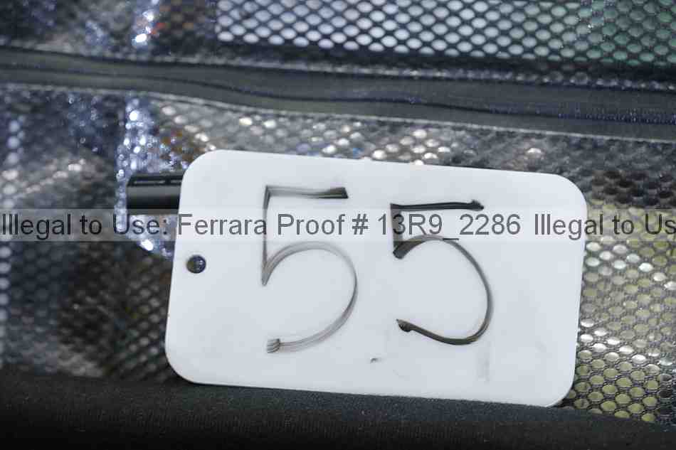 Proof 13r9_2286